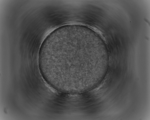 X0000092331231200710121527