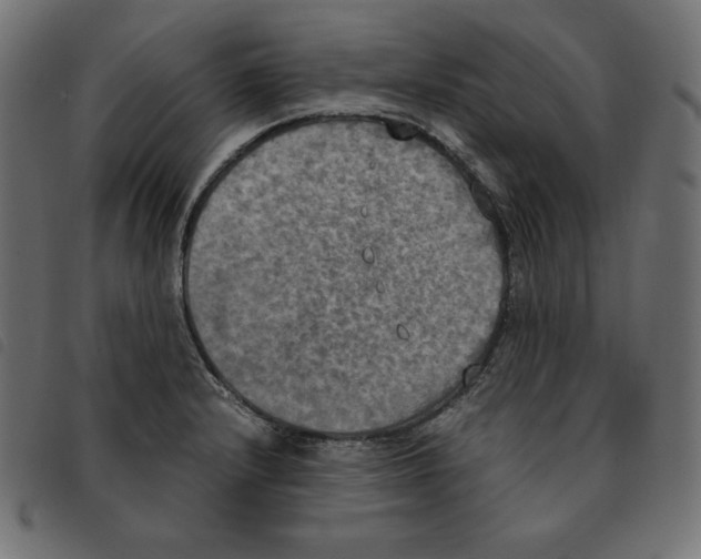 X0000092331232200710121527