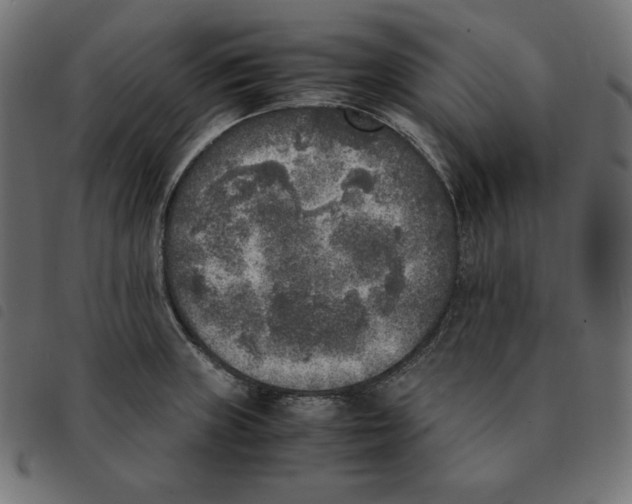 X0000092331235200710121527