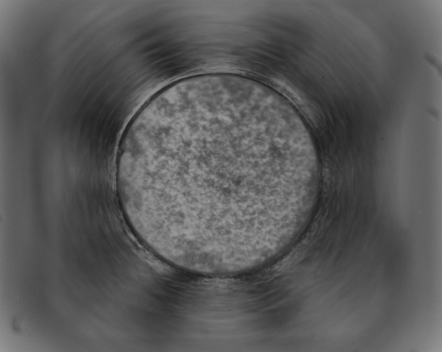 X0000092331236200710121527