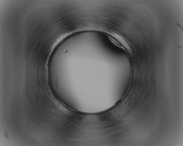 X0000092331238200710121527