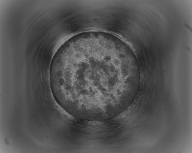 X0000092331239200710121527