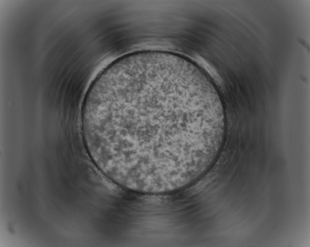 X0000092331240200710121527