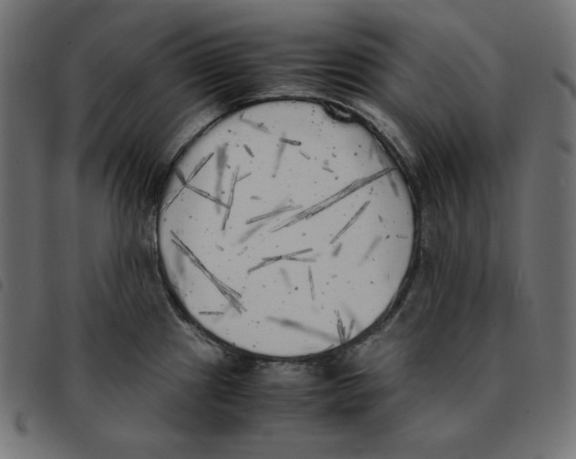 X0000092331241200710121527