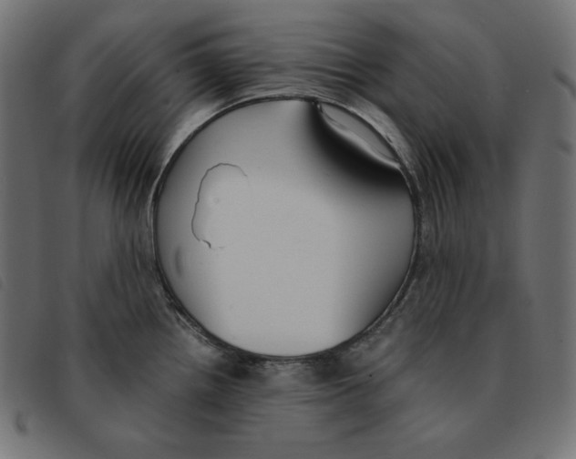 X0000092331242200710121527
