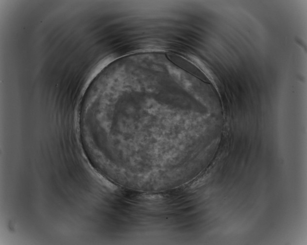 X0000092331243200710121527