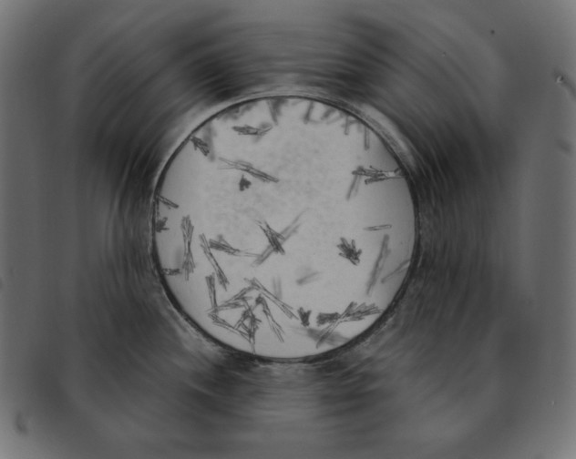 X0000092331244200710121527