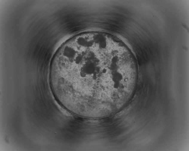 X0000092331245200710121527