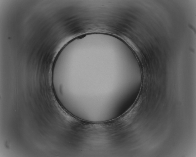 X0000092331246200710121527