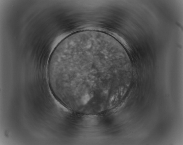 X0000092331247200710121527