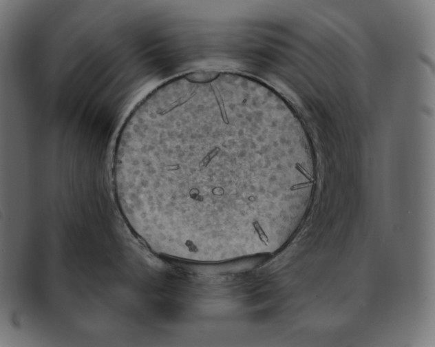 X0000092331248200710121527
