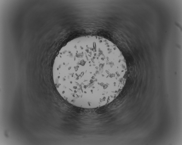 X0000092331249200710121526