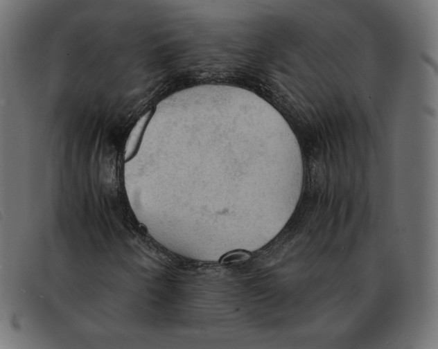 X0000092331250200710121526