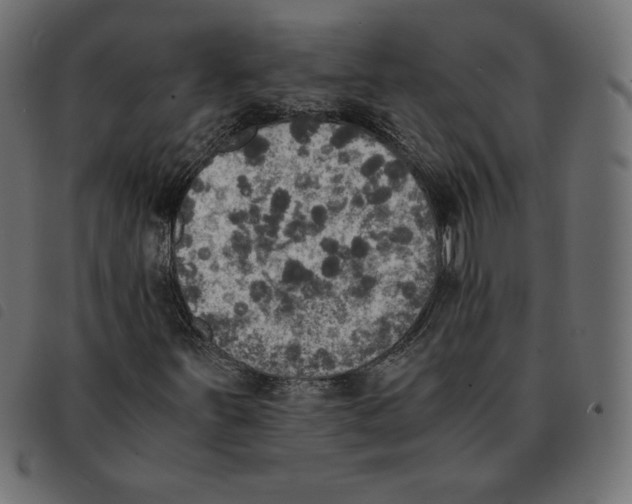 X0000092331251200710121526