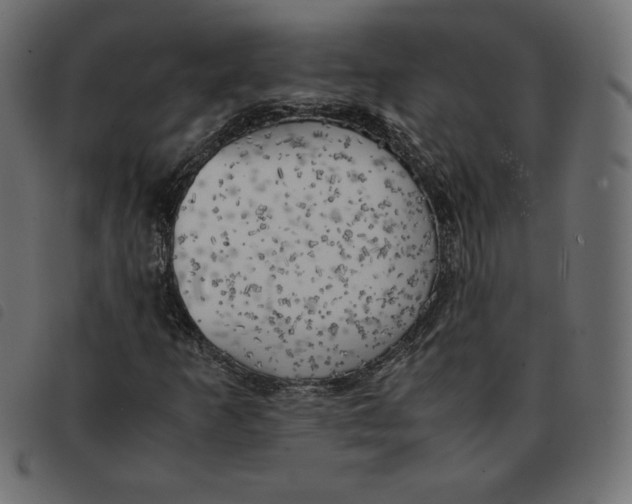 X0000092331253200710121526