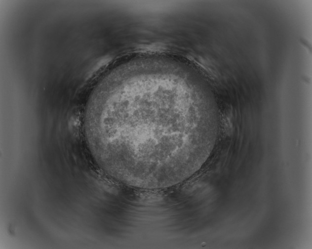 X0000092331254200710121526