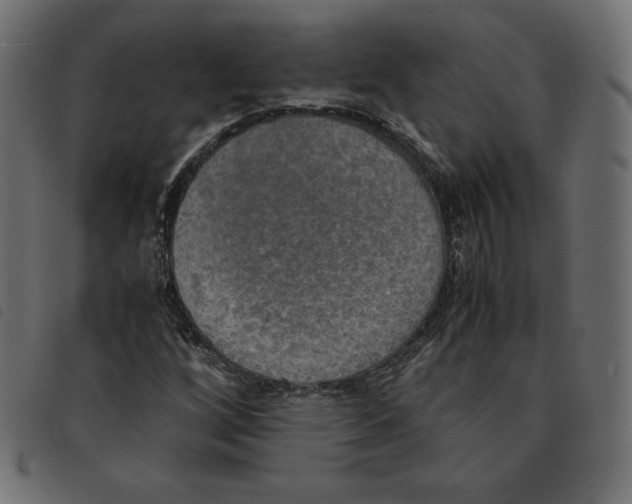 X0000092331256200710121526