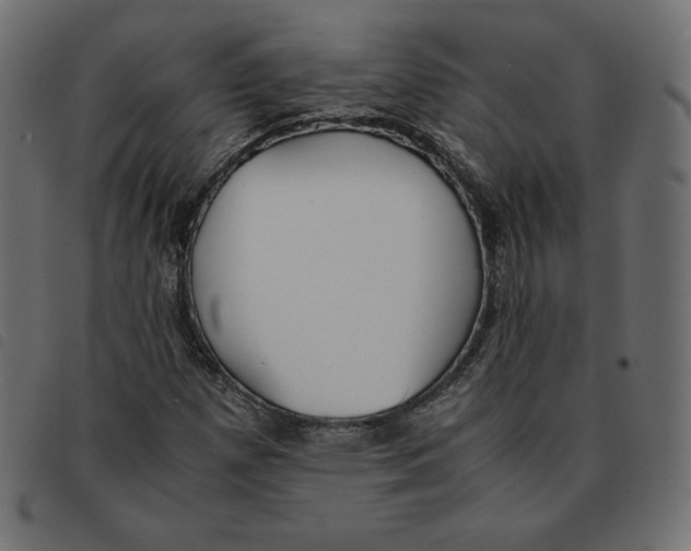 X0000092331257200710121526