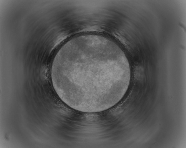 X0000092331258200710121526