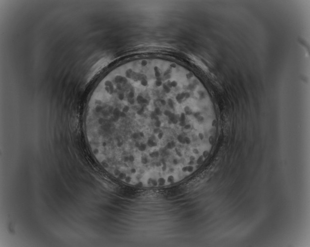 X0000092331259200710121526