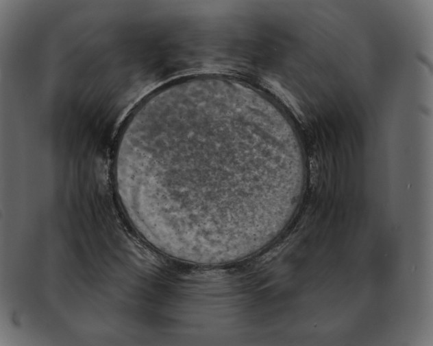 X0000092331260200710121526