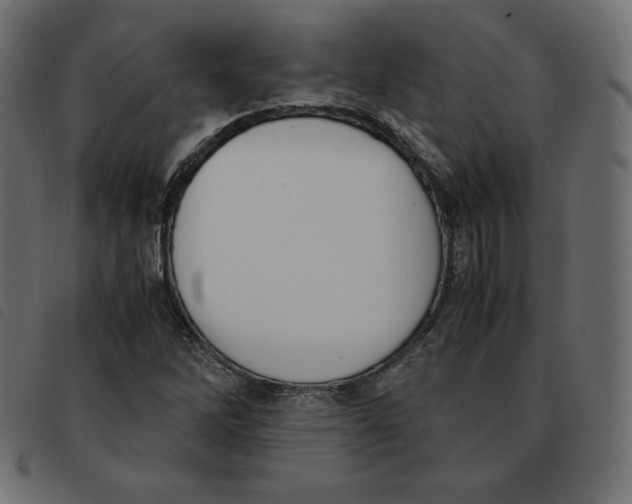 X0000092331262200710121526