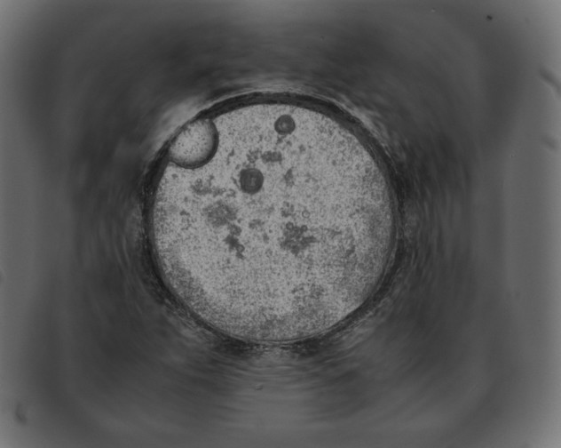 X0000092331263200710121526
