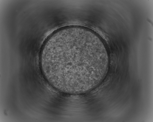 X0000092331264200710121526