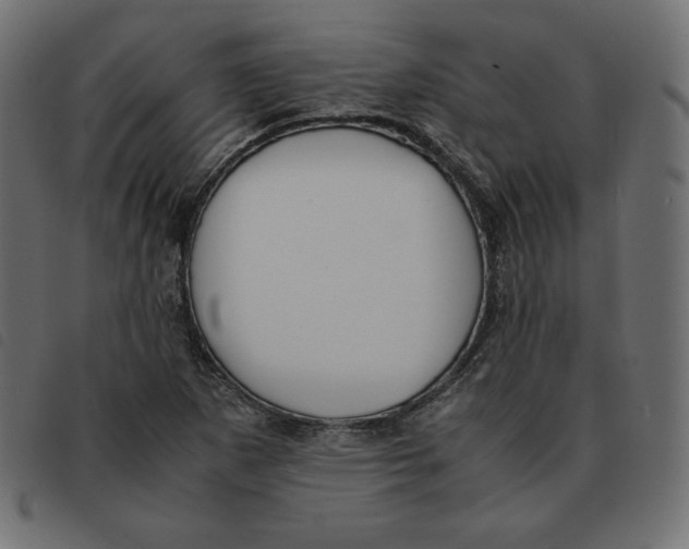 X0000092331265200710121526