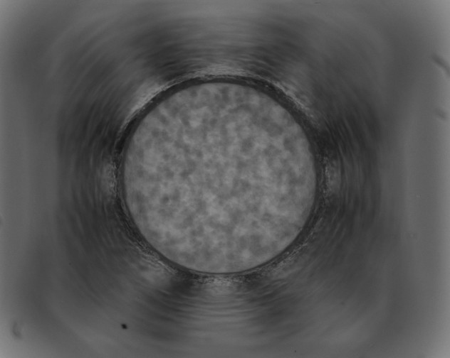 X0000092331266200710121526