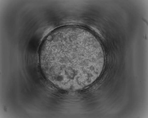 X0000092331267200710121526