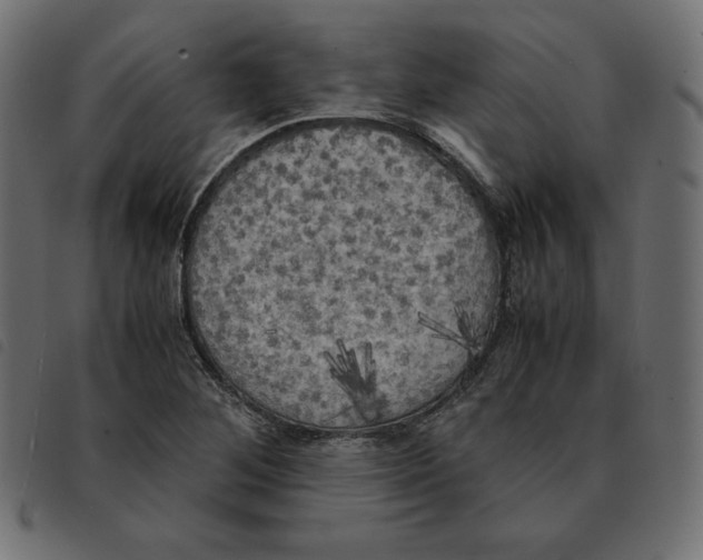 X0000092331268200710121526
