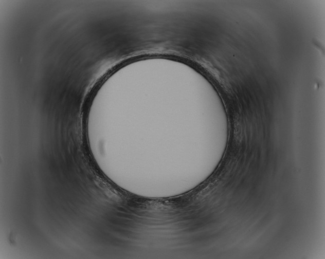 X0000092331270200710121526