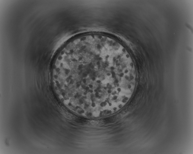 X0000092331271200710121526