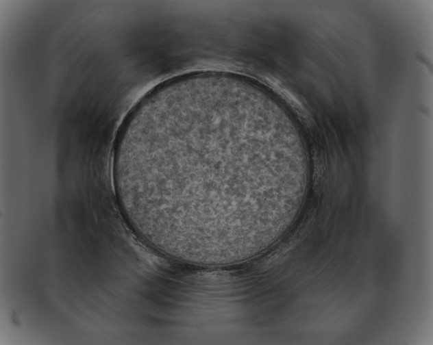 X0000092331272200710121526