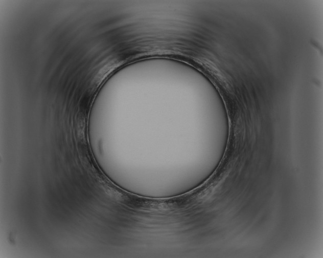 X0000092331273200710121526