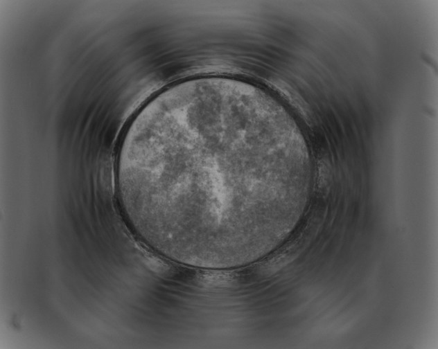 X0000092331274200710121526