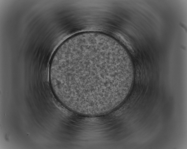 X0000092331276200710121526