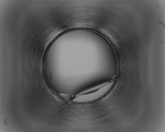 X0000092331277200710121526