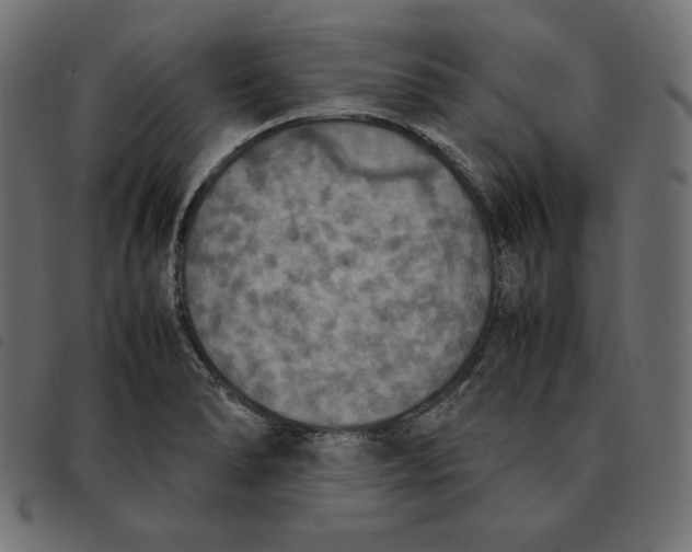 X0000092331278200710121526
