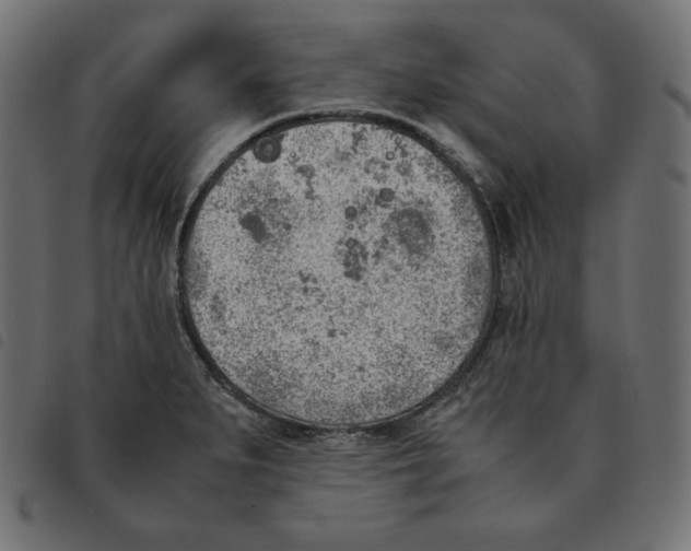 X0000092331279200710121526