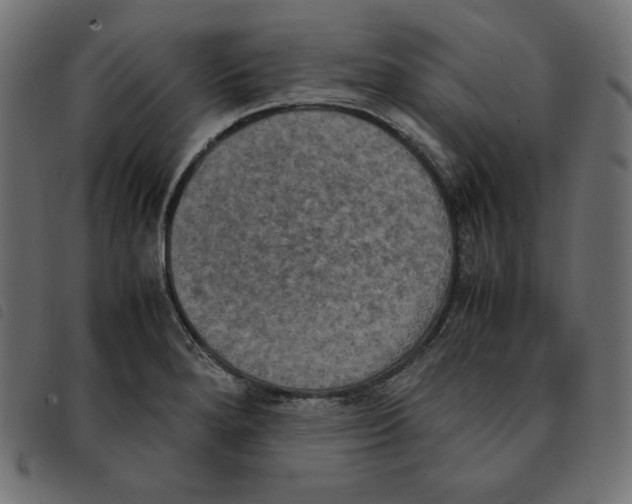 X0000092331280200710121526