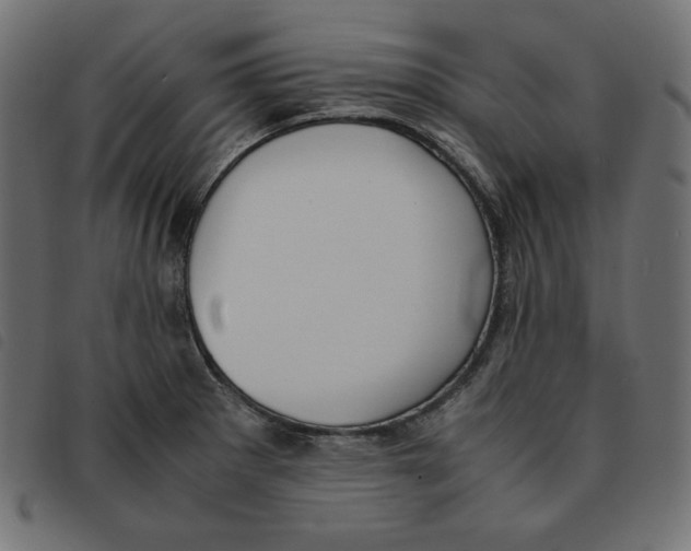 X0000092331281200710121526