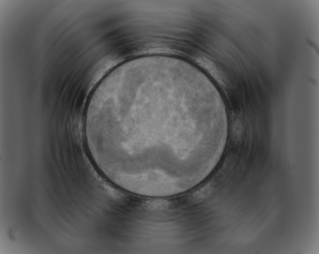 X0000092331282200710121526