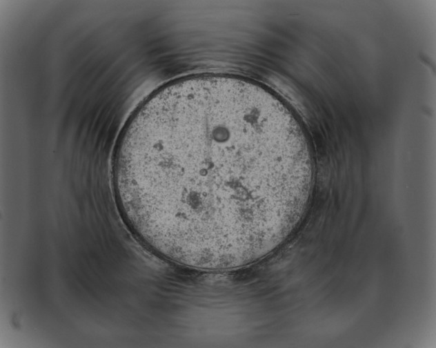 X0000092331283200710121526