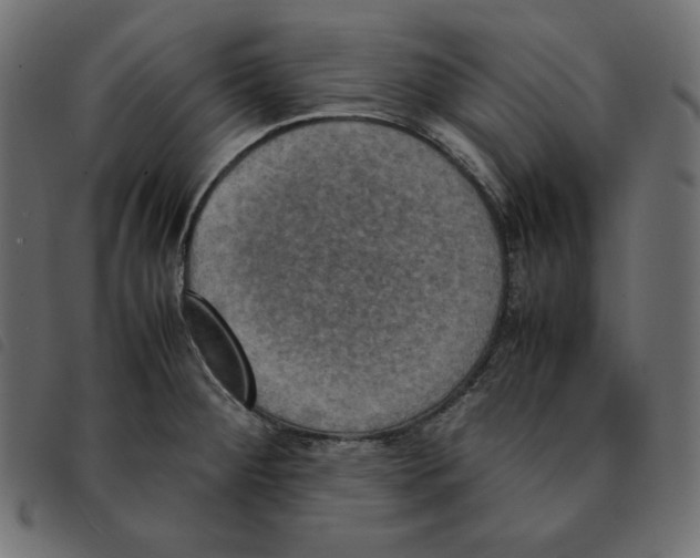 X0000092331284200710121526