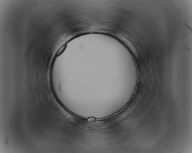X0000092331285200710121526