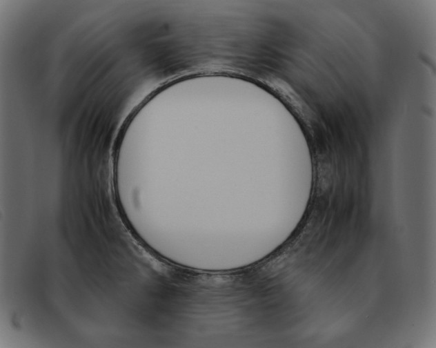 X0000092331286200710121526