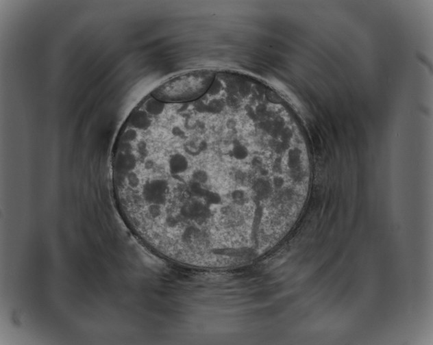 X0000092331287200710121526
