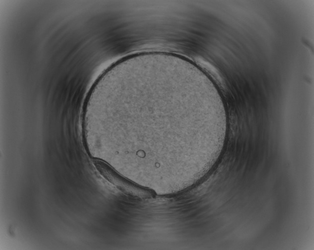 X0000092331288200710121526